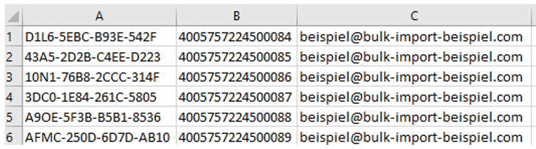 Screenshot of a technical configuration interface displaying various coded settings and domain references related to 'beispielbulkimportbeispielcom'.