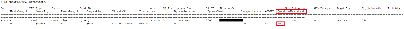 Check the quantum resistance of the VPN connection via the CLI