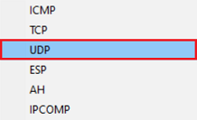 Image displaying a technical configuration menu with various network security protocols listed, including ICMP, IED, ESP, AH, and IPCOMP.