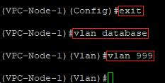Create a new VLAN on the VPC-Node-1 via the CLI