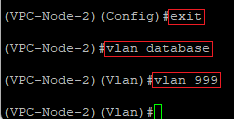 Create a new VLAN on the VPC-Node-2 via the CLI