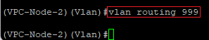 Activate routing for the VLAN just created on the VPC-Node-2 via the CLI