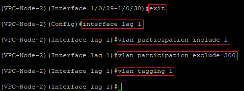 Allow the VLAN 1 and ban the Management VLAN on the Link Aggregation Group on the VPC-Node-2 via the CLI